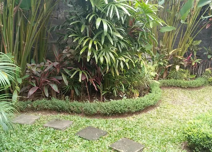 Dedik House